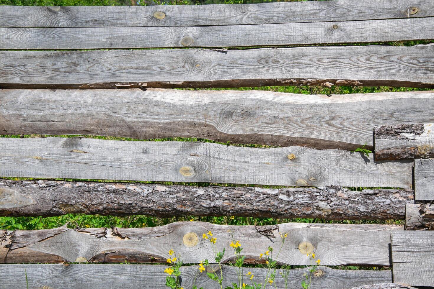 A close-up view of a rustic wooden fence with faded, gray planks and a few yellow wildflowers in the foreground photo