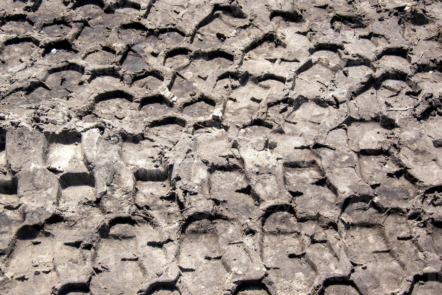 A close-up image of tire tracks embedded in soft, muddy earth photo