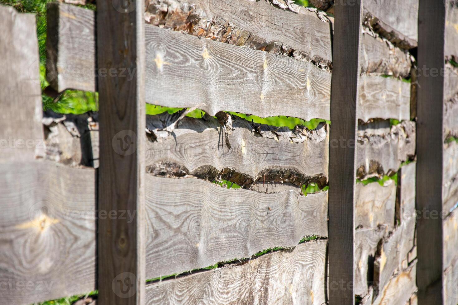 A close-up shot of a weathered wooden fence, showcasing its natural grain and texture. Green growth is visible between the boards photo
