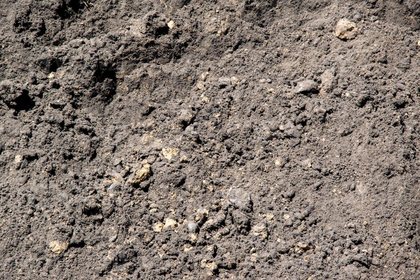 A close-up photograph of dark brown soil with small stones mixed in. The soil appears to be moist and loose photo