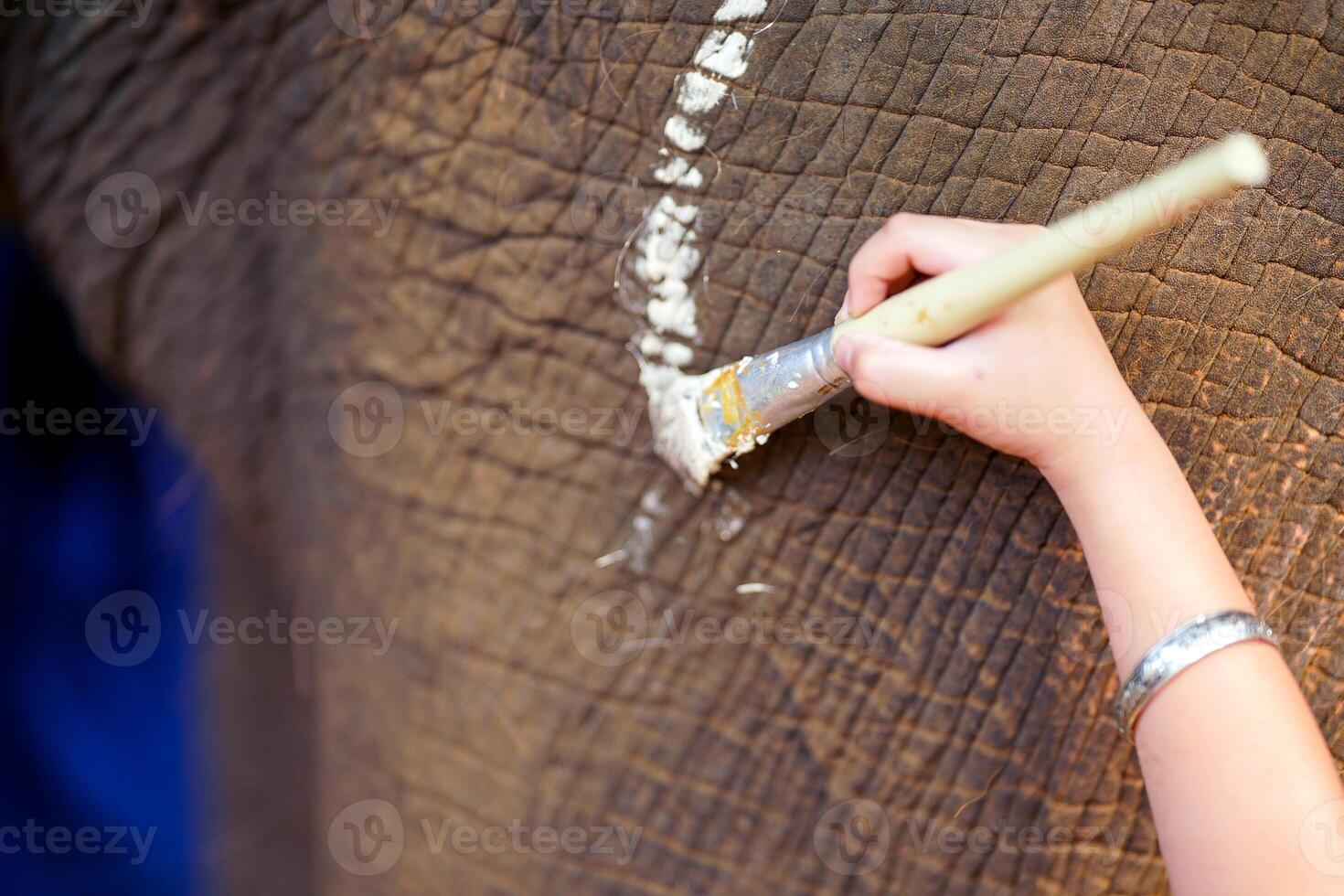 Closeup and crop hand of woman holding a paint brush and paint on the elephant's legs. photo
