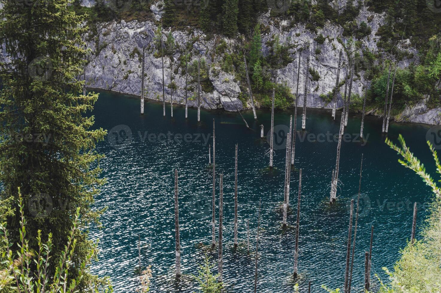 landscape with a beautiful lake with blue water and tree trunks of a sunken forest in summer. Kaindy Lake in Tien Shan Mountains in Kazakhstan. Top view from a drone photo