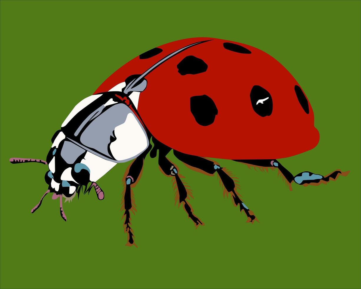 illustration of a red ladybug with black spots vector