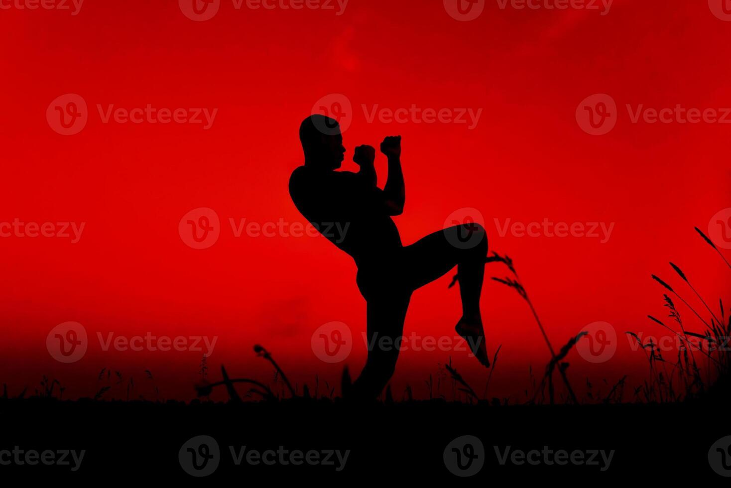 Silhouette of a male fighter engaged in training and applying combat techniques photo