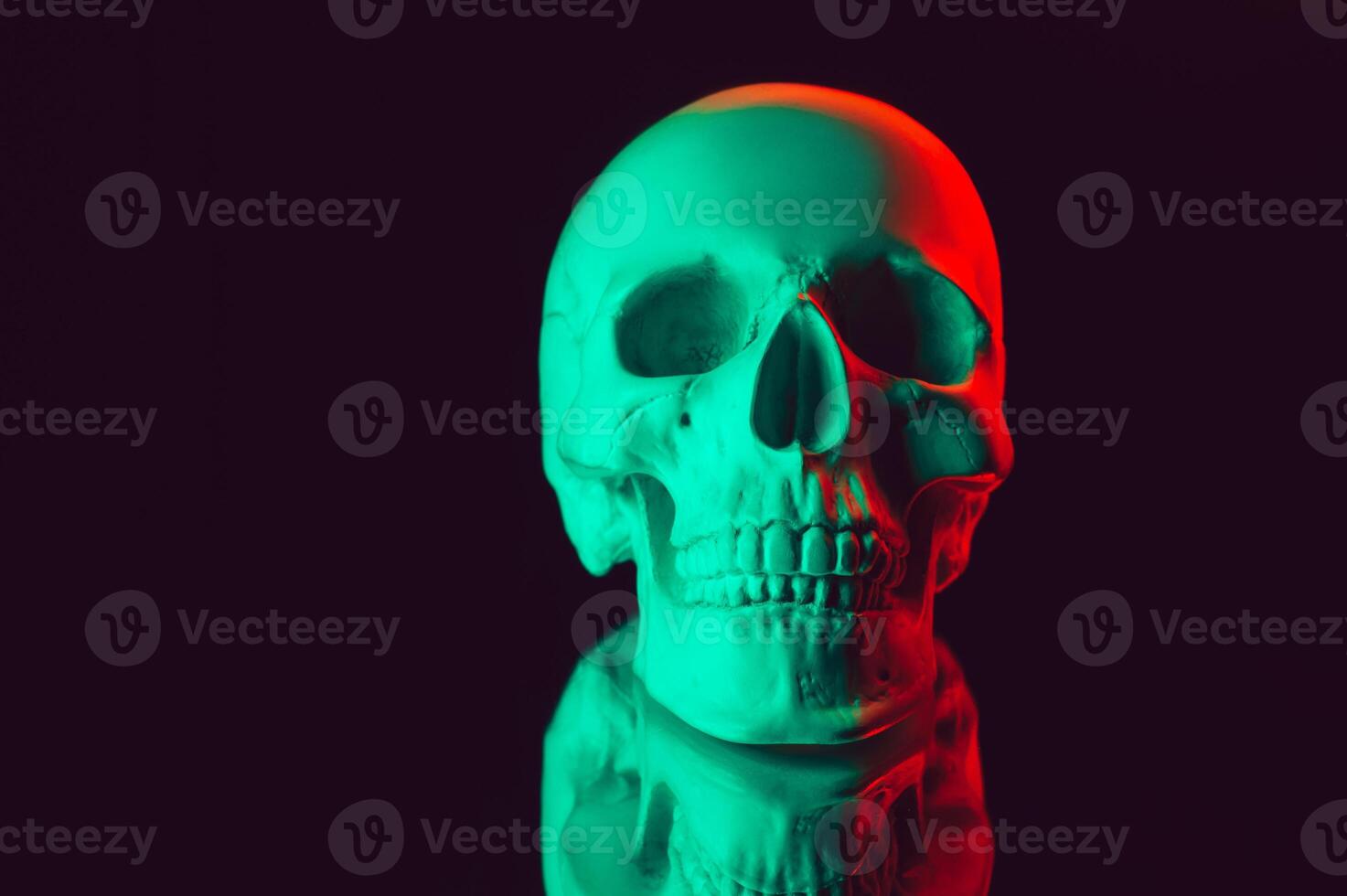 human skull with a mirror reflection with colored neon light photo