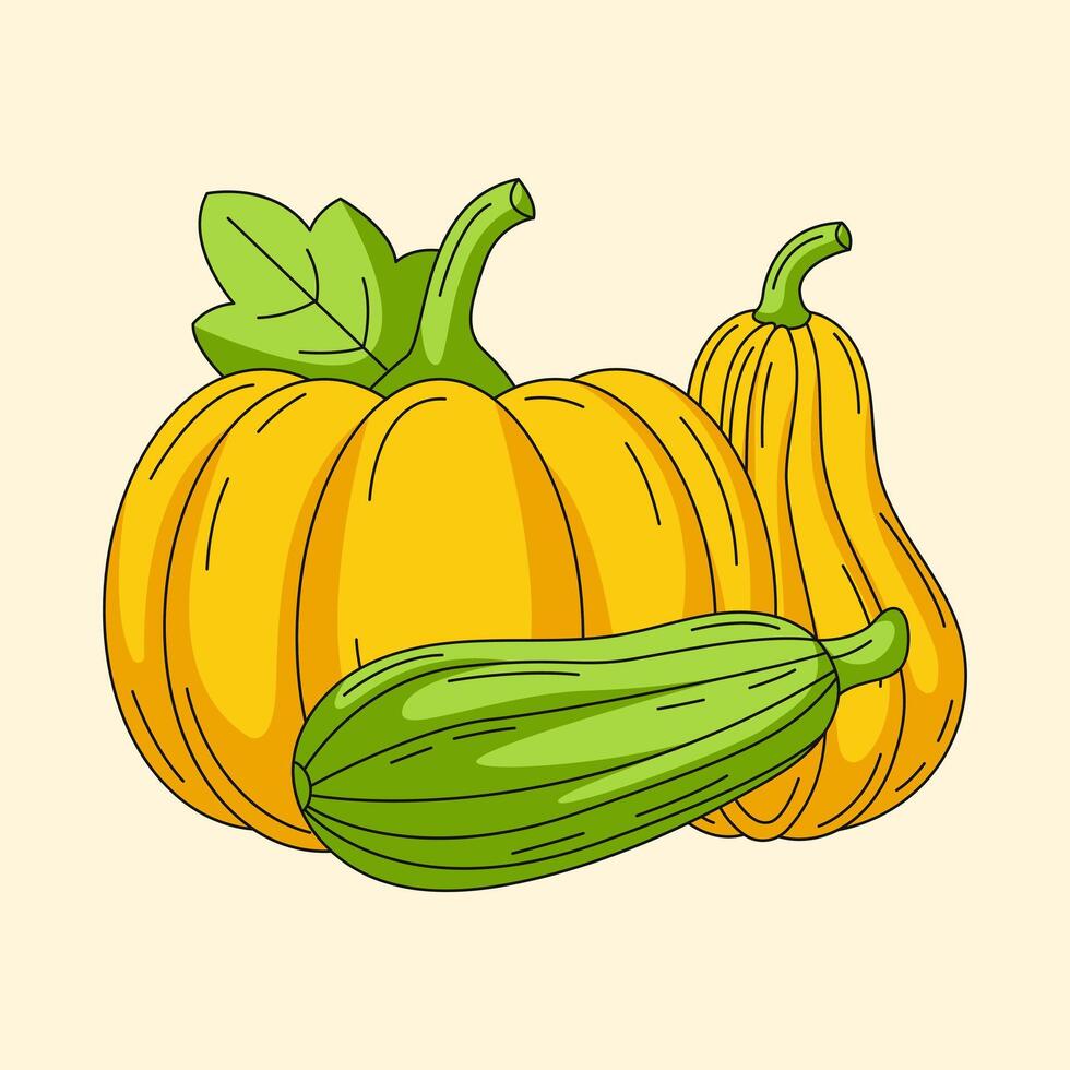 Square card with pumpkin, butternut squash, zucchini. Seasonal harvest, vegetables, natural eco organic veggies. For greeting card, poster, template, thanksgiving invitation, social media. vector