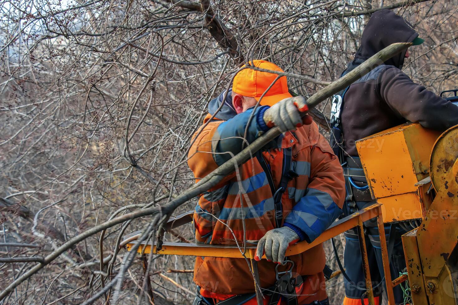 Municipal service workers stand with a chainsaw in a crane basket and trim dangerous trees photo