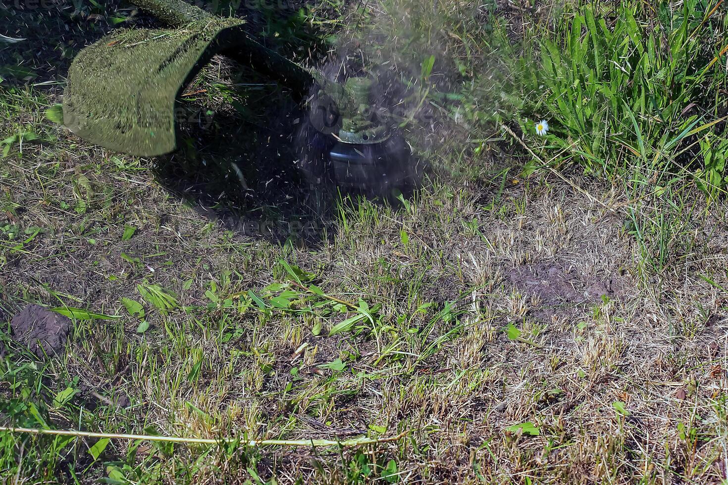 A man cuts and mows the grass. Grass cutting work. Worker mows lawn with grass photo