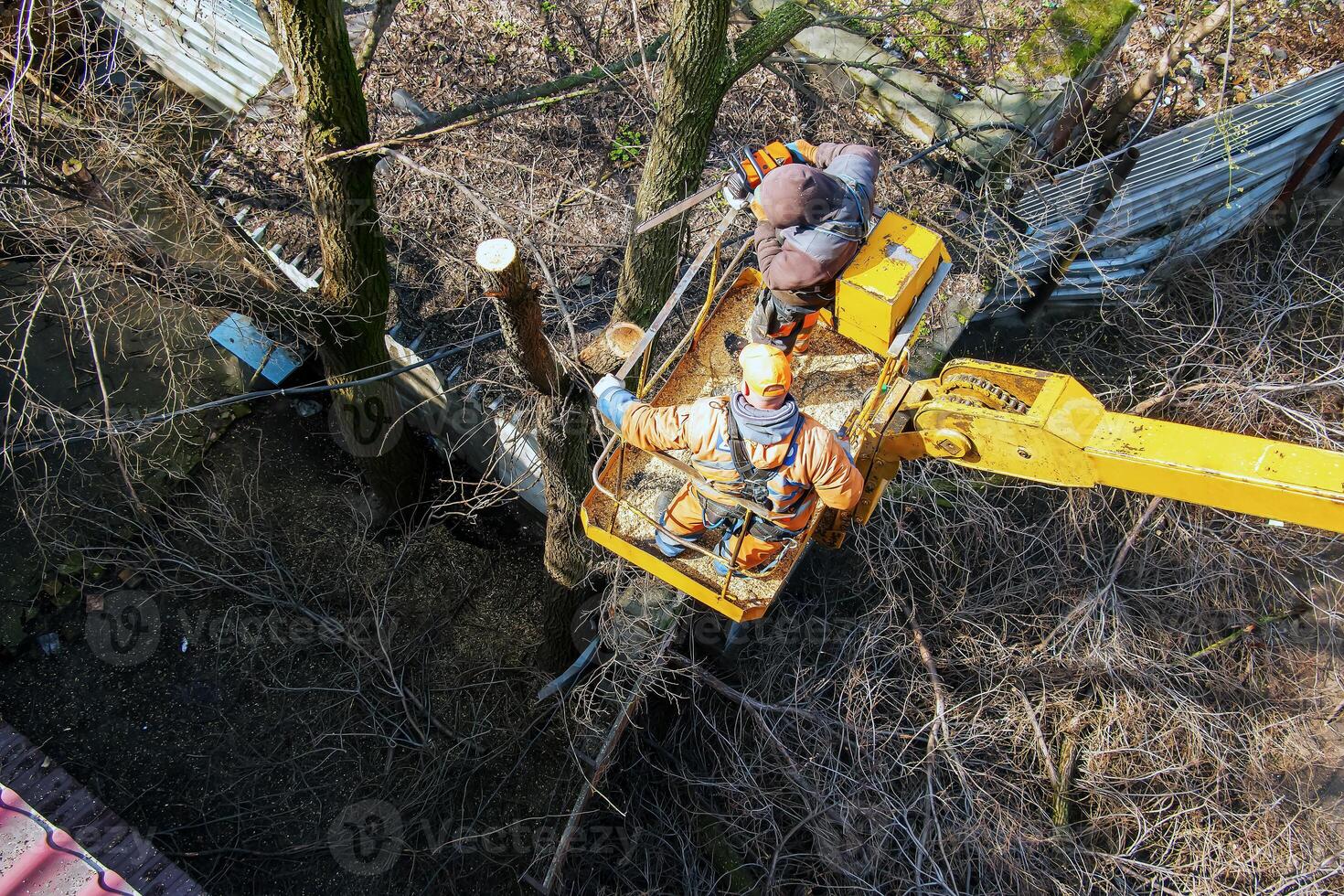Municipal service workers stand with a chainsaw in a crane basket and trim dangerous trees photo