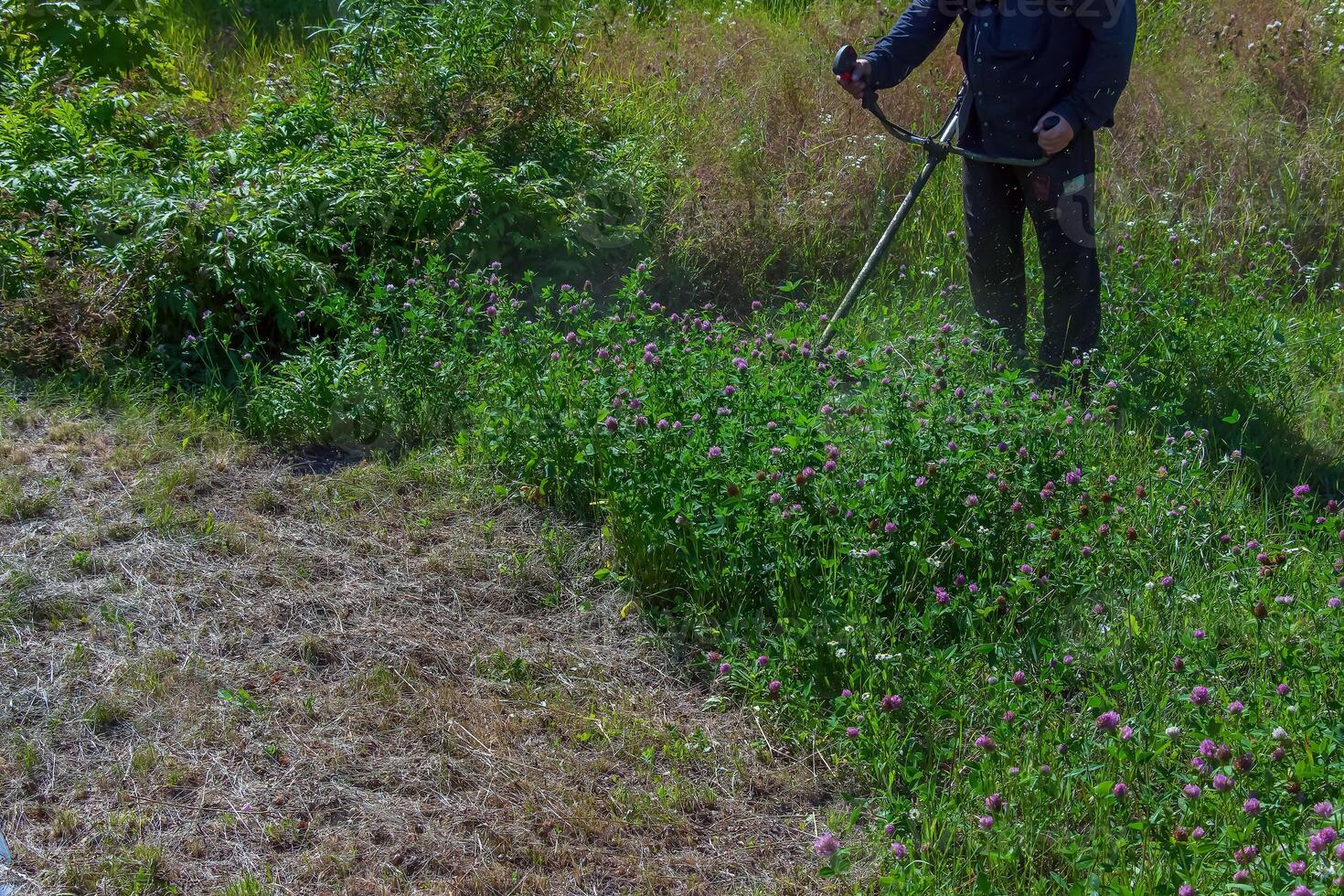 A man cuts and mows the grass. Grass cutting work. Worker mows lawn with grass photo