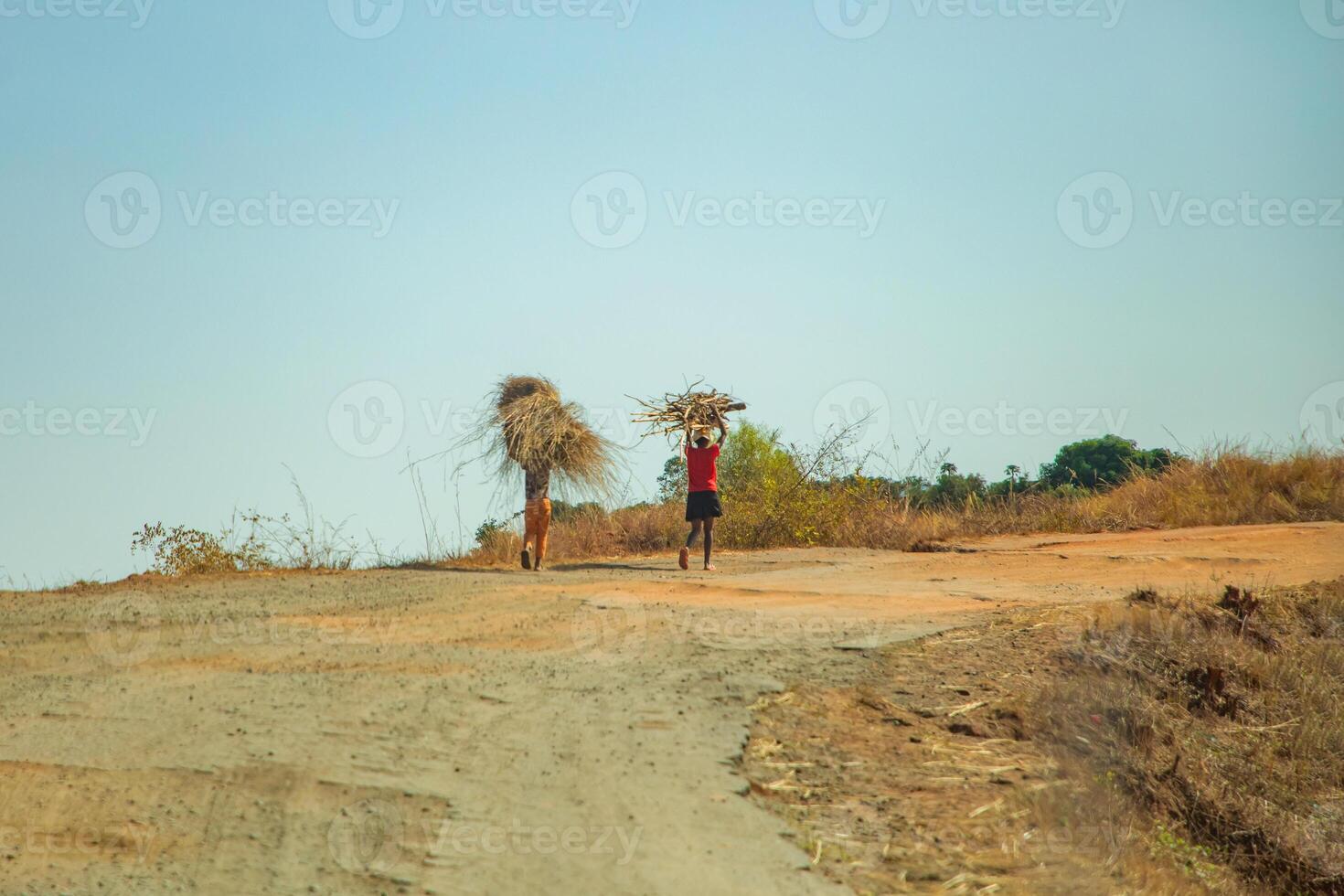 Road from Morondava to Antsirabe photo