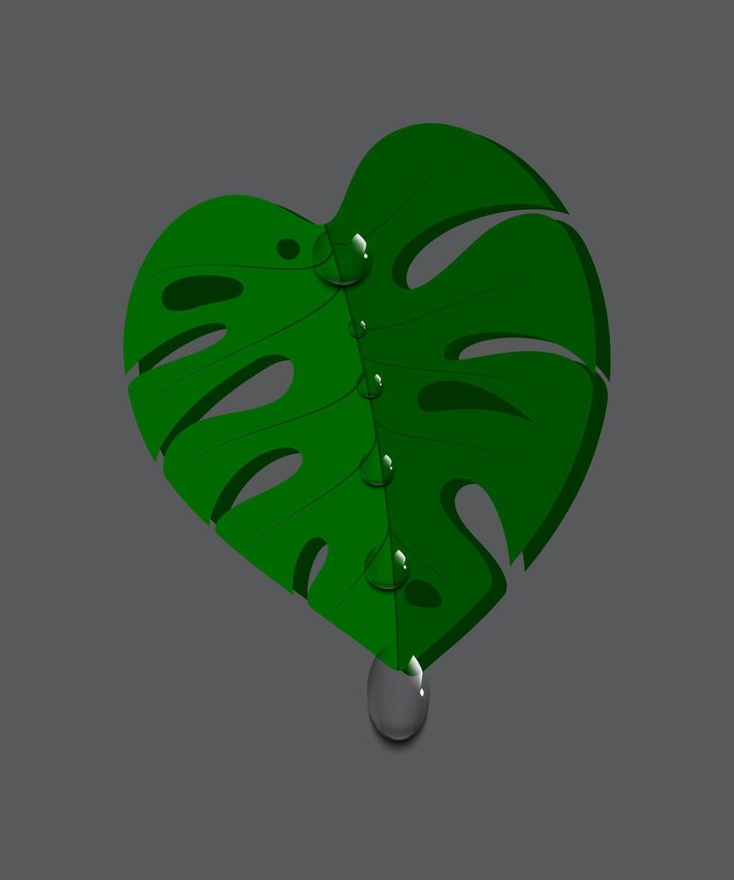 Green leaf with water drops. vector