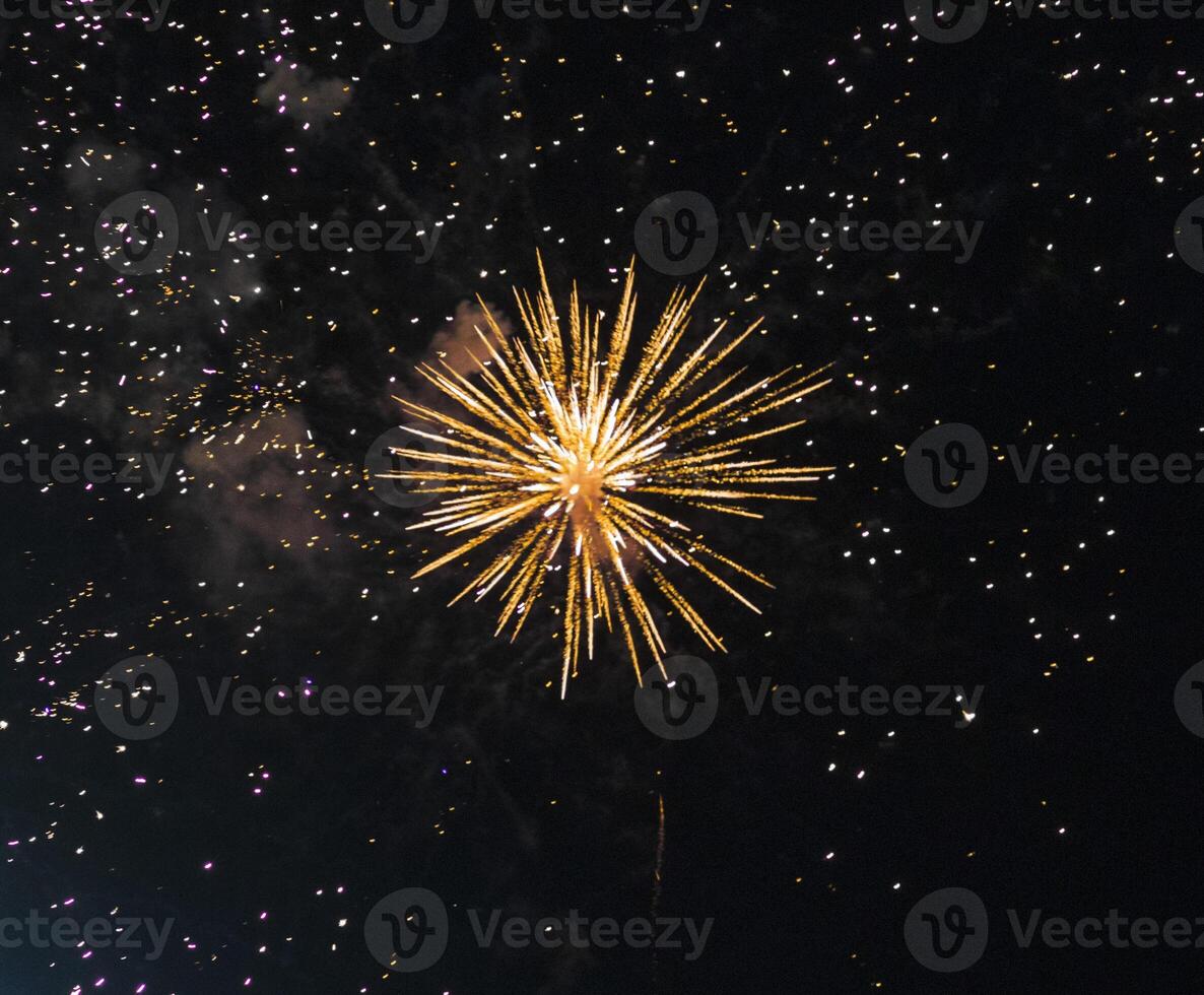 Shot of the fireworks in the night sky. Celebration photo