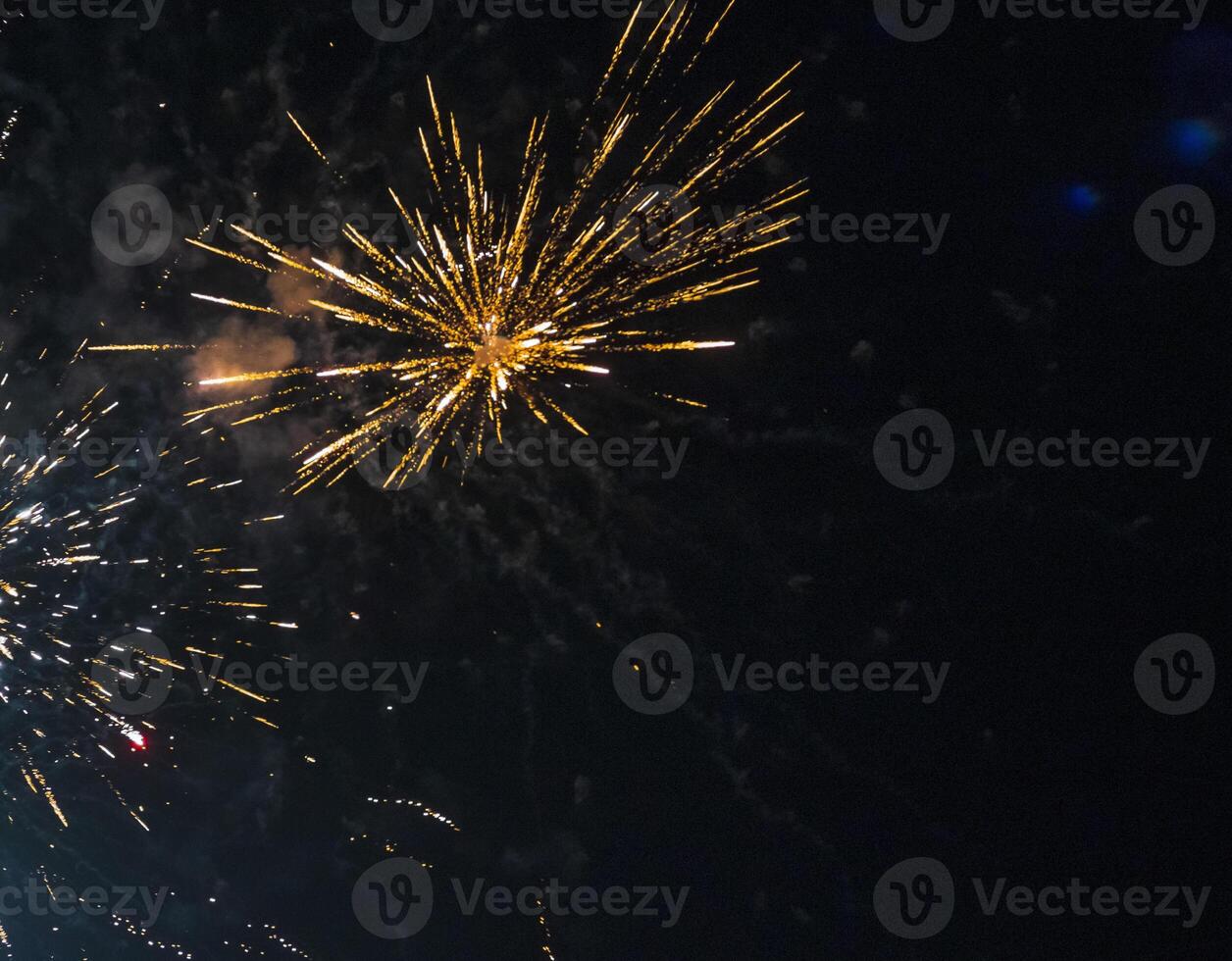 Shot of the fireworks in the night sky. Celebration photo