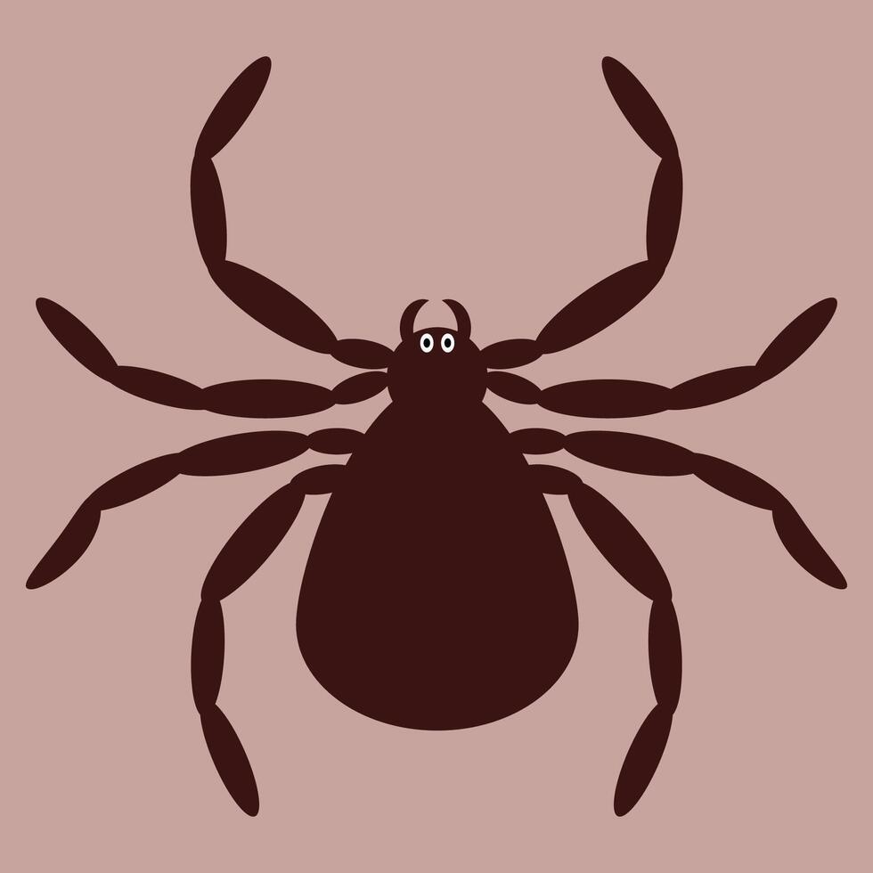 Spider brown on coloured background. Spider icon for logo. Element for tattoo, sticker, background, banner. vector