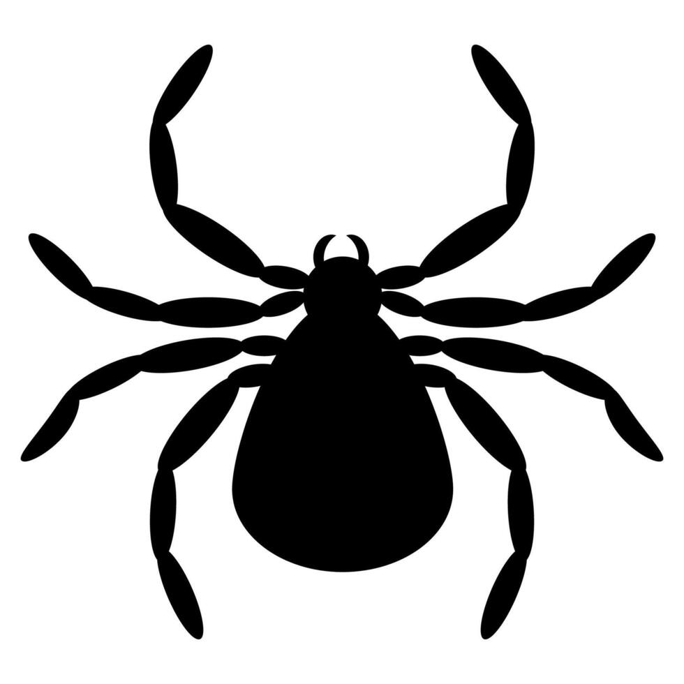 Spider black silhouette. Spider icon for logo. Black and white tattoo element vector