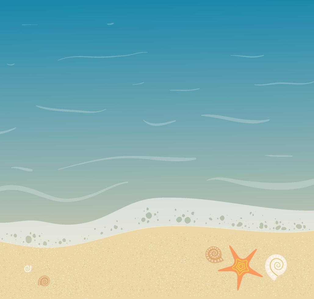 Beautiful seashore background with starfish and small shells on it. Sandy beach summer illustration vector