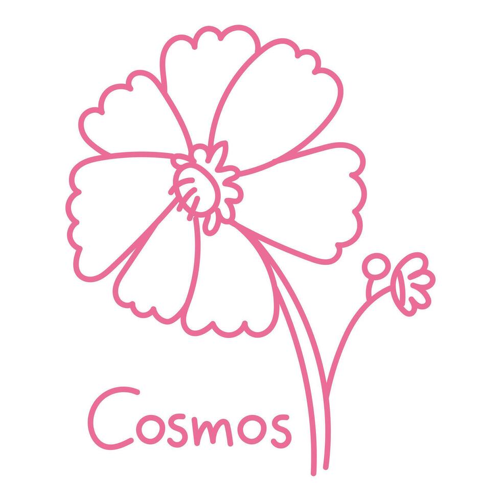 Doodle illustration in the form of a pink cosmos with a cute name. Isolated hand-drawn drawing with a wide line. shades of pink on white. Romantic silhouette for a holiday on postcards for a wedding vector