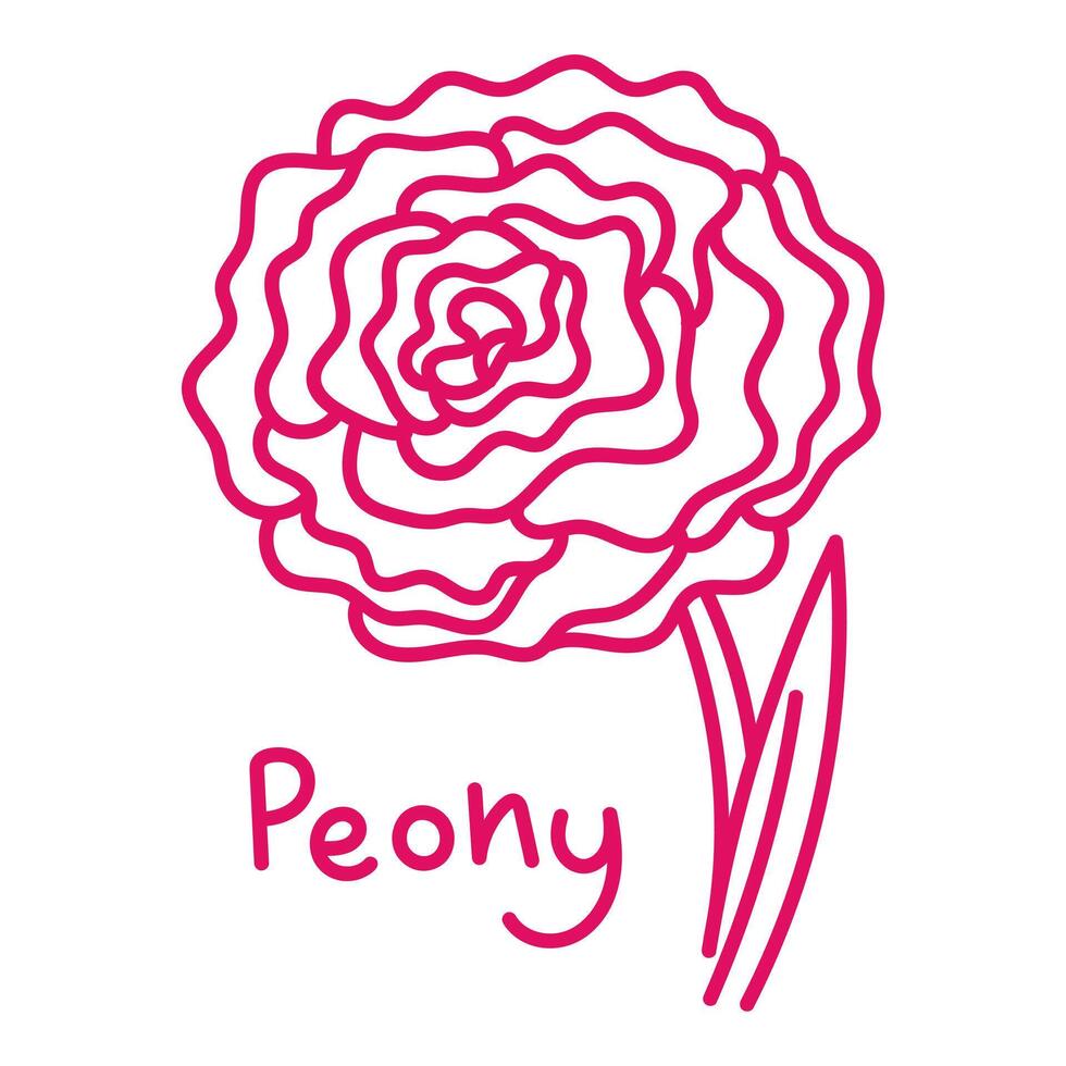 Doodle illustration in the form of a pink peony with a cute name. Isolated hand-drawn drawing with a wide line. shades of pink on white. Romantic silhouette for a holiday on postcards for a wedding vector