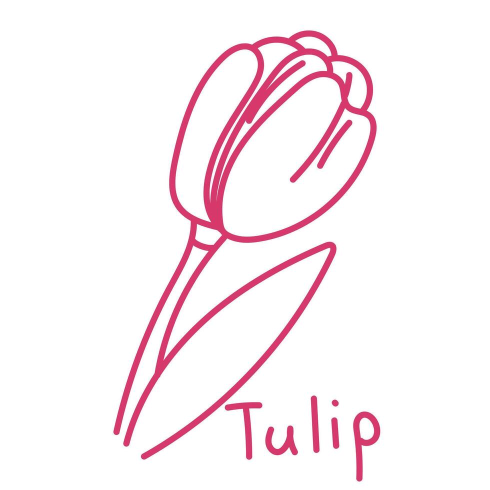 Doodle illustration in the form of a pink tulip with a cute name. Isolated hand-drawn drawing with a wide line. shades of pink on white. Romantic silhouette for a holiday on postcards for a wedding vector
