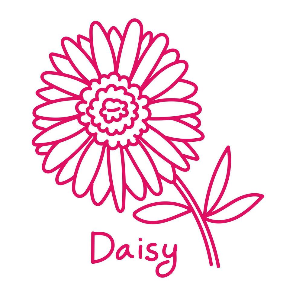 Doodle illustration in the form of a pink daisy with a cute name. Isolated hand-drawn drawing with a wide line. shades of pink on white. Romantic silhouette for a holiday on postcards for a wedding vector