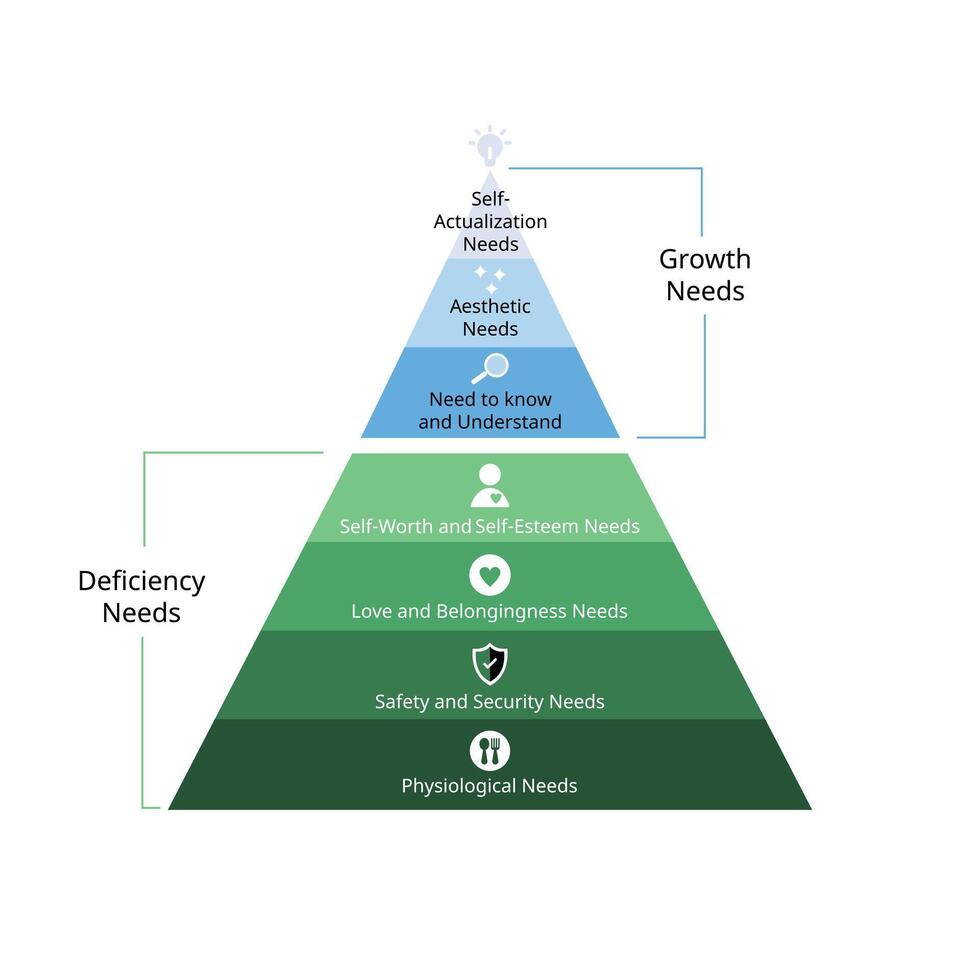 deficiency needs and growth needs to hierarchy needs include physiological needs, safety, love, self esteemed, aesthetic, self actualization vector