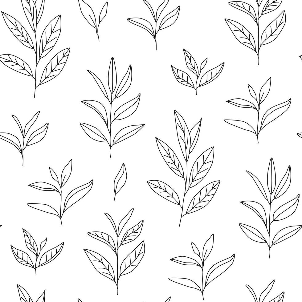 Outline tea leaves seamless pattern. Hand drawn line art drawings of tea branches. Green and black tea. Botanical background, wrapping paper, wallpaper. Plant, greenery, herbs. Nature. . vector