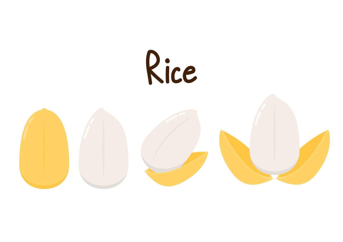 Rice character design. rice on white background. rice seed. vector