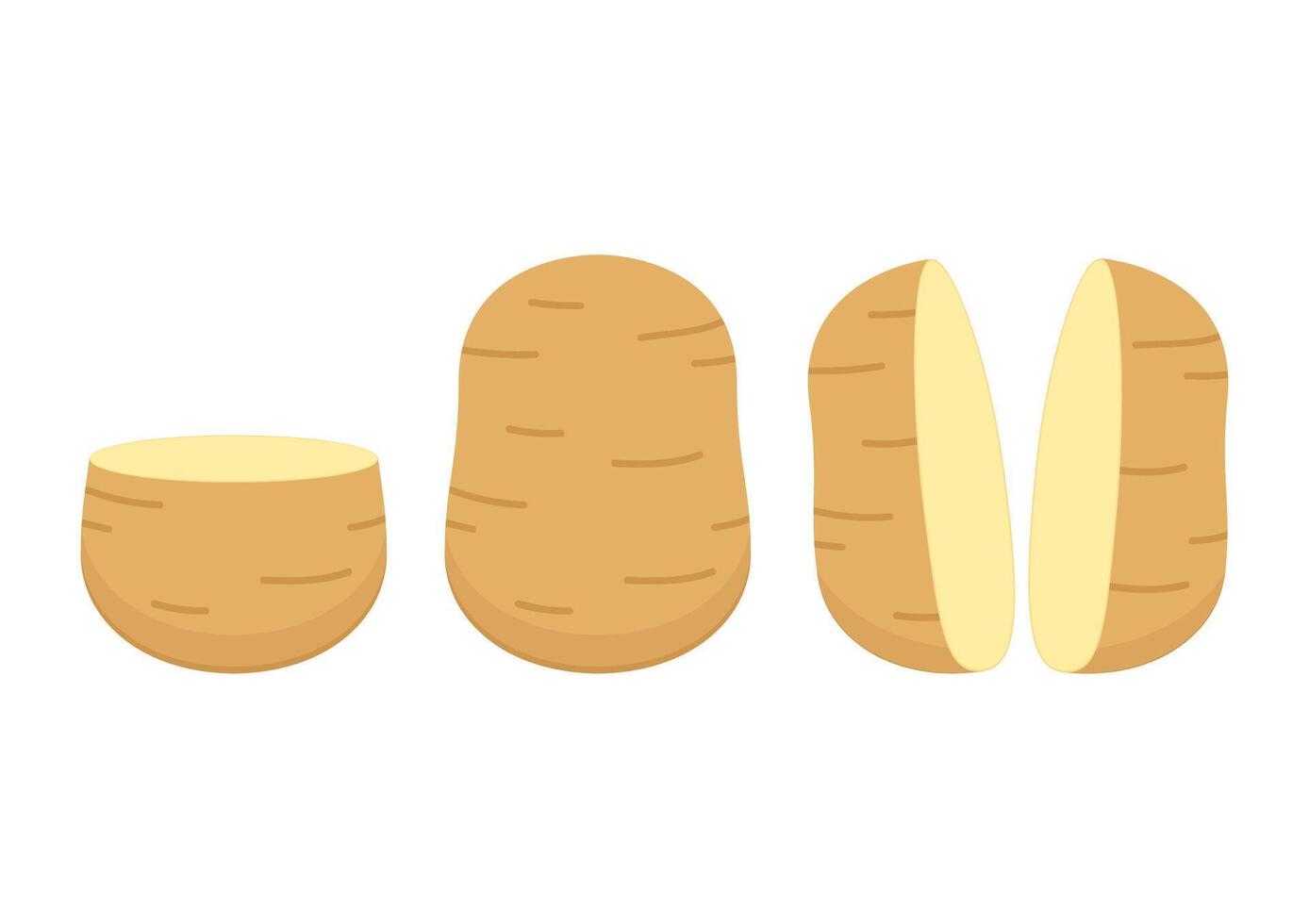 Potatoes illustration. Isolated white background. Potato slice . vector
