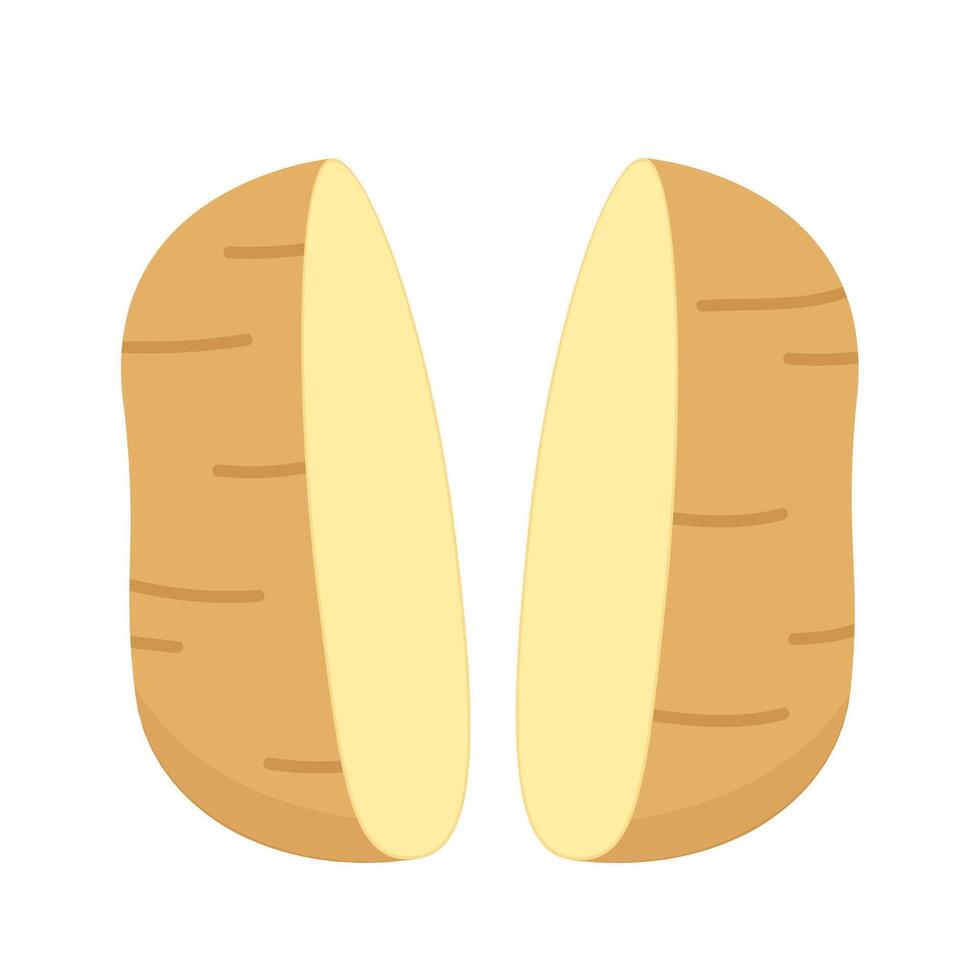 Potatoes illustration. Isolated white background. Potato slice . vector