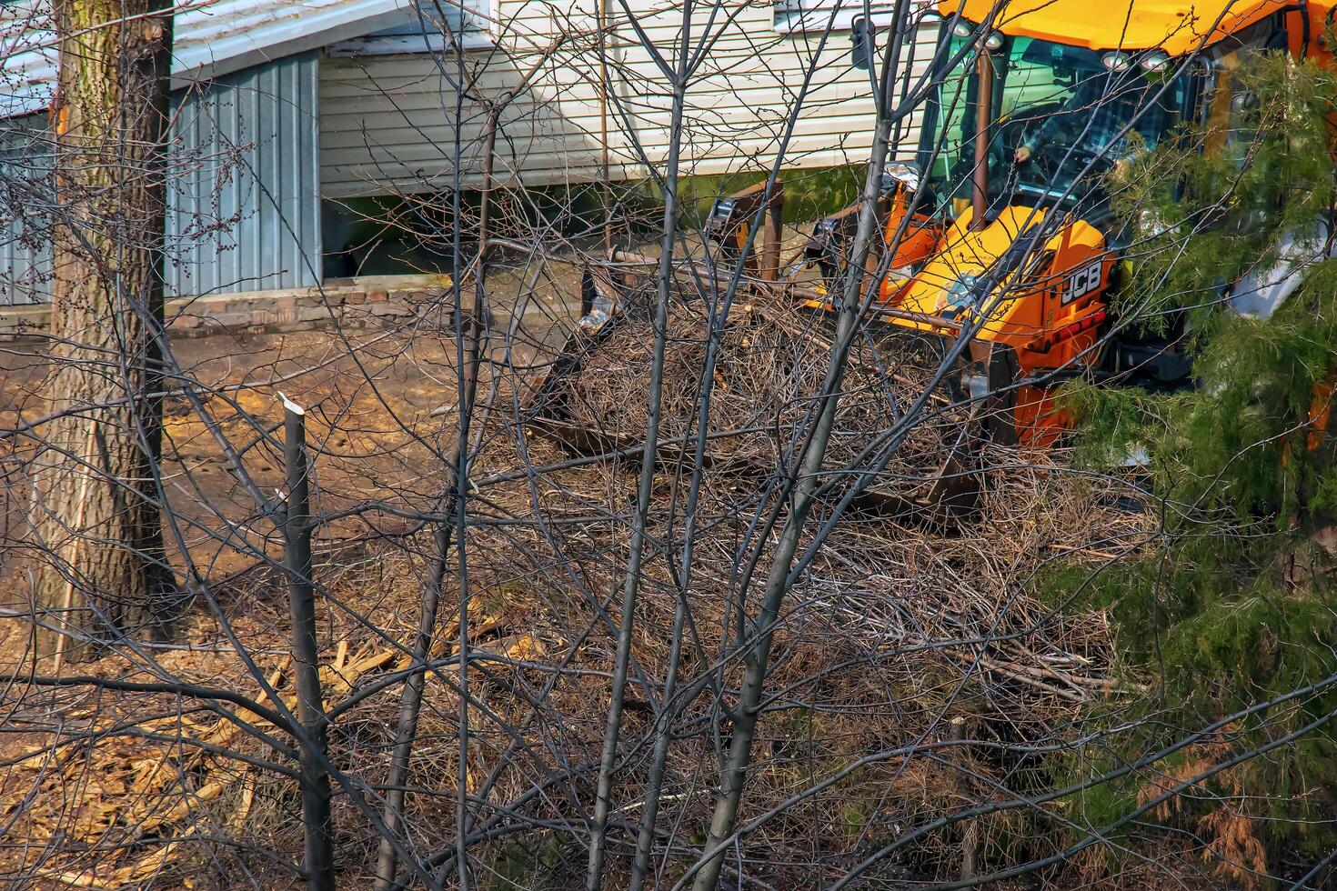 Dnepr, Ukraine - 03.20.2024 A bulldozer collects branches after pruning trees photo