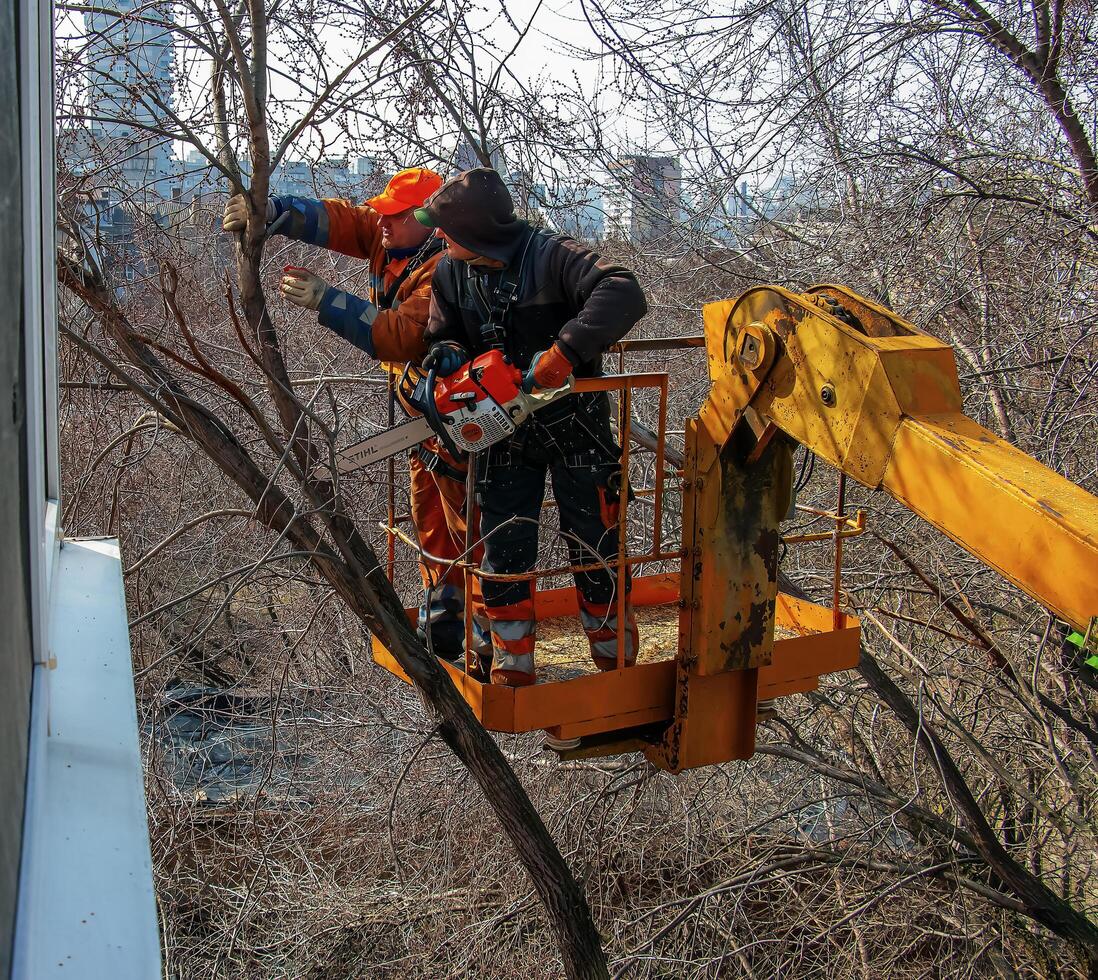 Dnepr, Ukraine - 03.20.2024 Municipal service workers stand with a chainsaw in a crane basket and trim dangerous trees photo