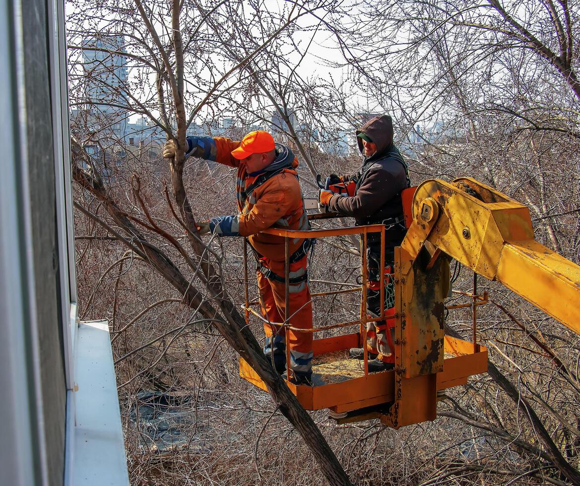 Dnepr, Ukraine - 03.20.2024 Municipal service workers stand with a chainsaw in a crane basket and trim dangerous trees photo