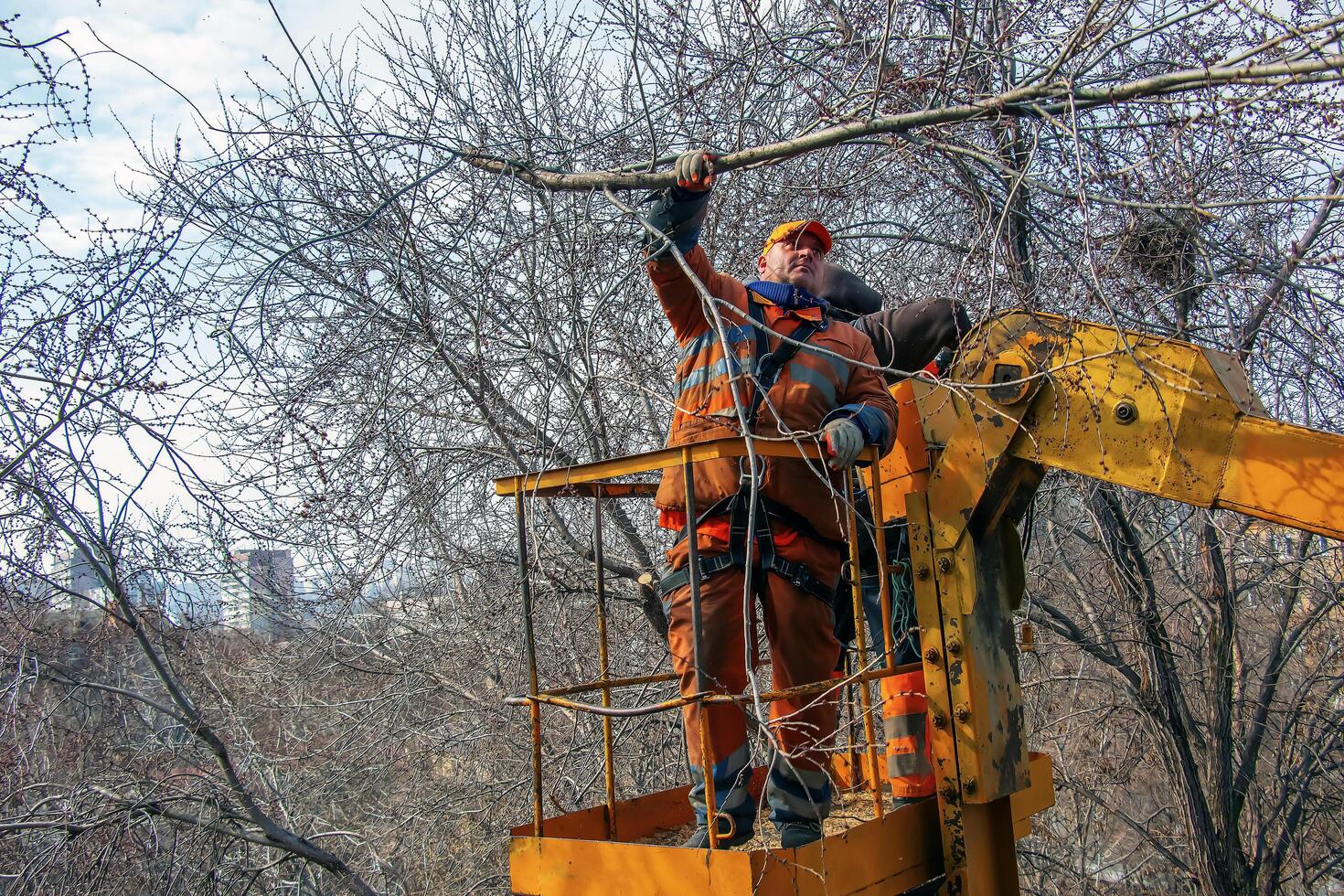 Dnepr, Ukraine - 03.20.2024 Municipal service workers stand with a chainsaw in a crane basket and trim dangerous trees photo