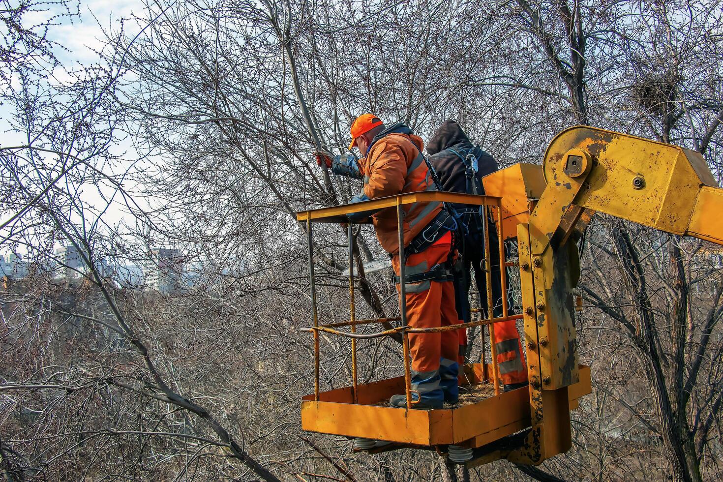 Dnepr, Ukraine - 03.20.2024 Municipal service workers stand with a chainsaw in a crane basket and trim dangerous trees photo