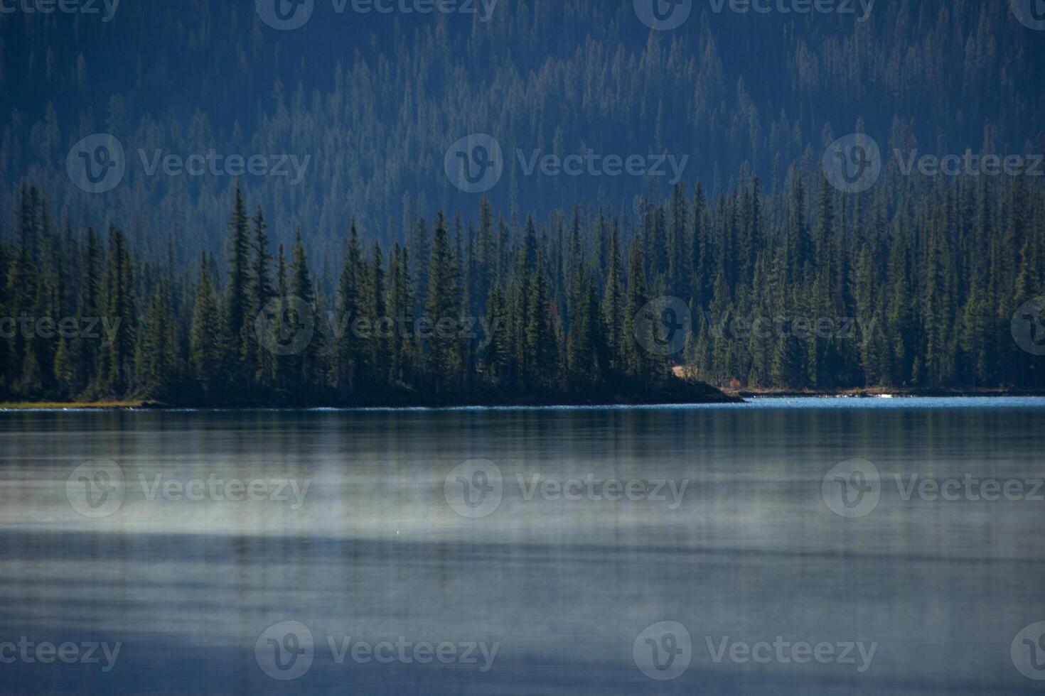 Bow Lake at sunrise surrounded by pine trees photo