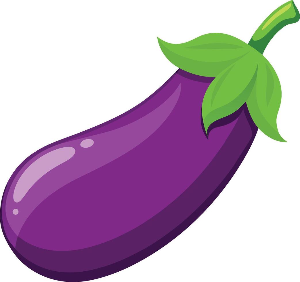 Glossy eggplant showing freshness from the garden vector