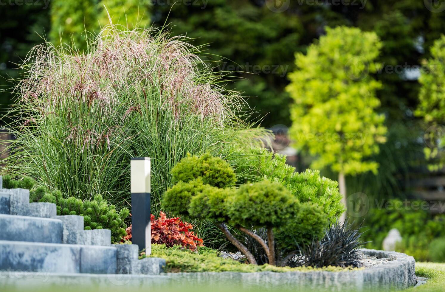 Stone Steps and Lush Greenery in a Backyard Garden photo