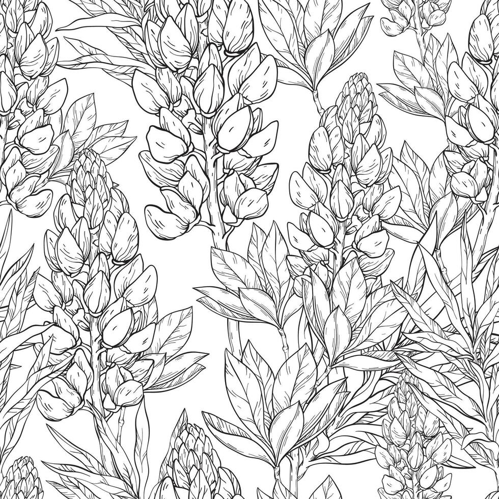 Floral seamless pattern. Lupine flowers and leaves. Black and white vector