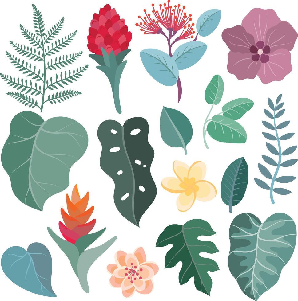 Tropical flovers and leaves set, collection of exotic plant. vector