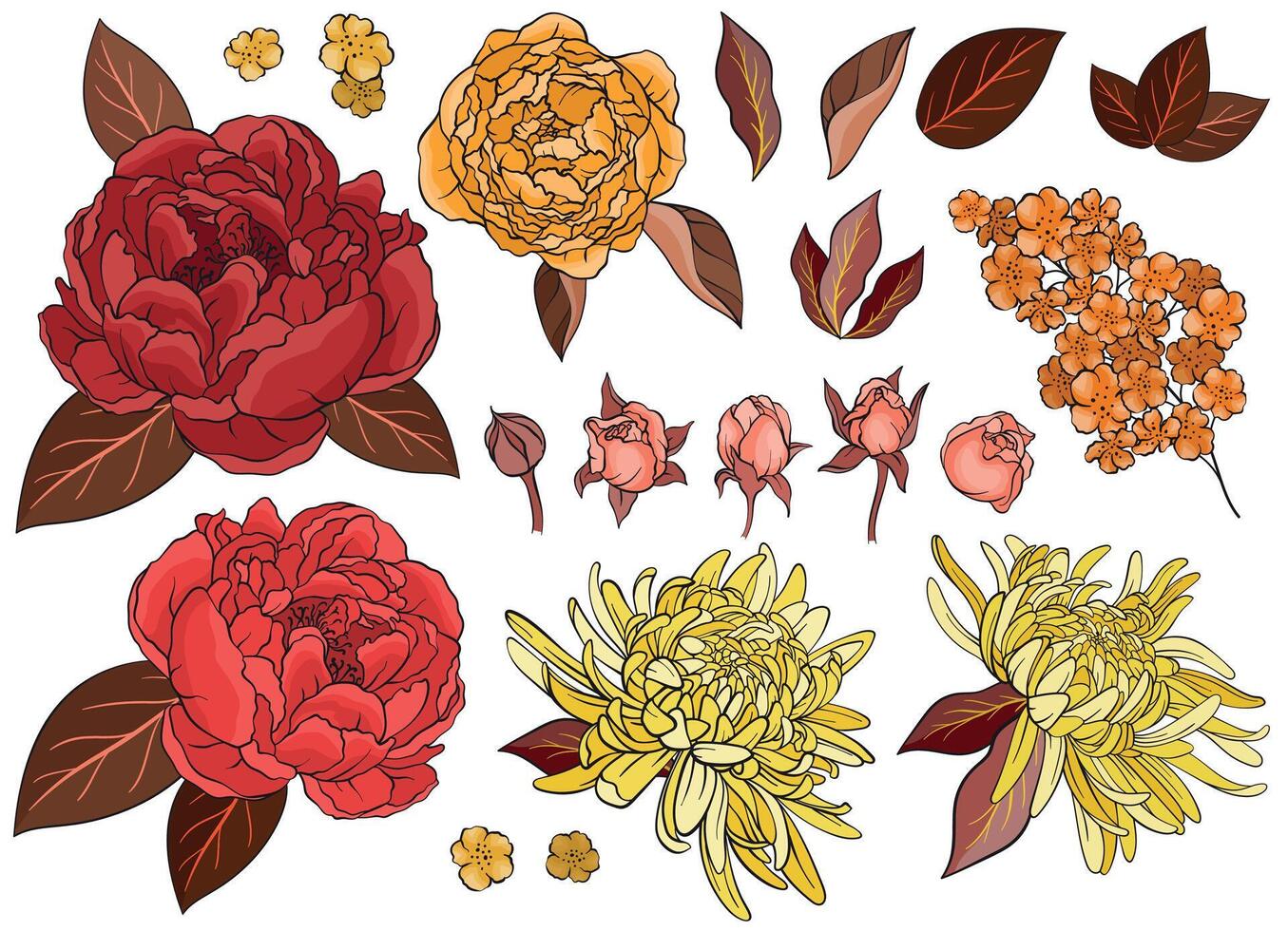 Set of roses, peonies, asters vector