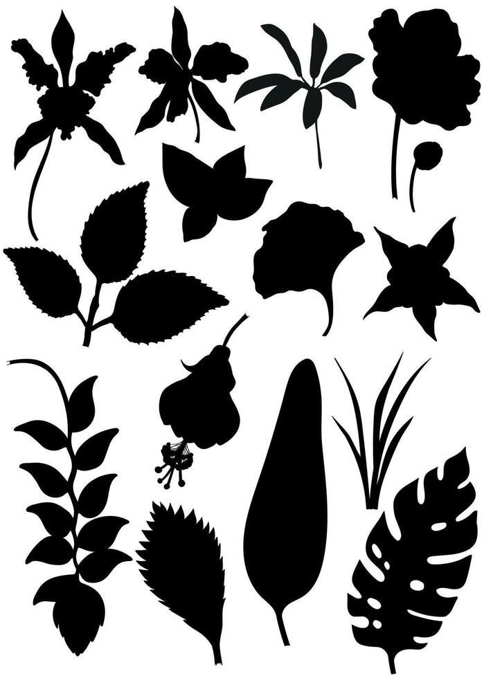 Tropical leaves collection set. Design elements from the jungle vector