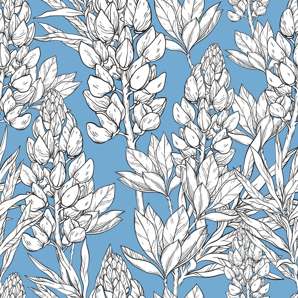 Seamless pattern. Lupine flowers and leaves on blue background. vector