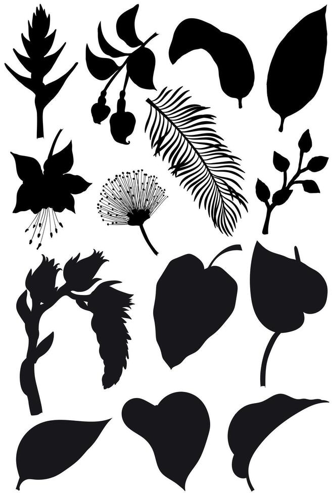 Flowers and leaves. Plant elements isolated on the white background. vector