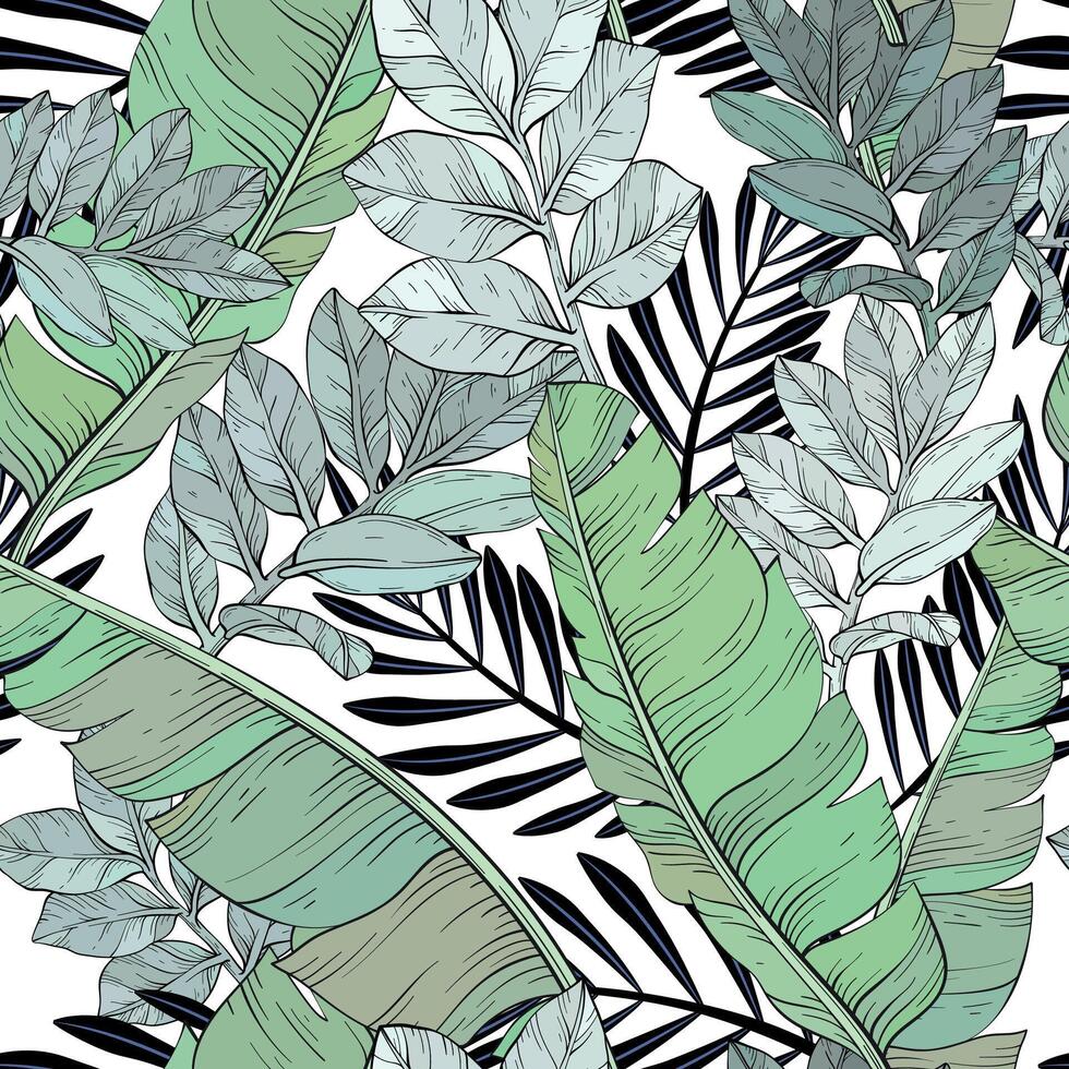 Banana and palm jungle leaves pattern design, tropical print vector
