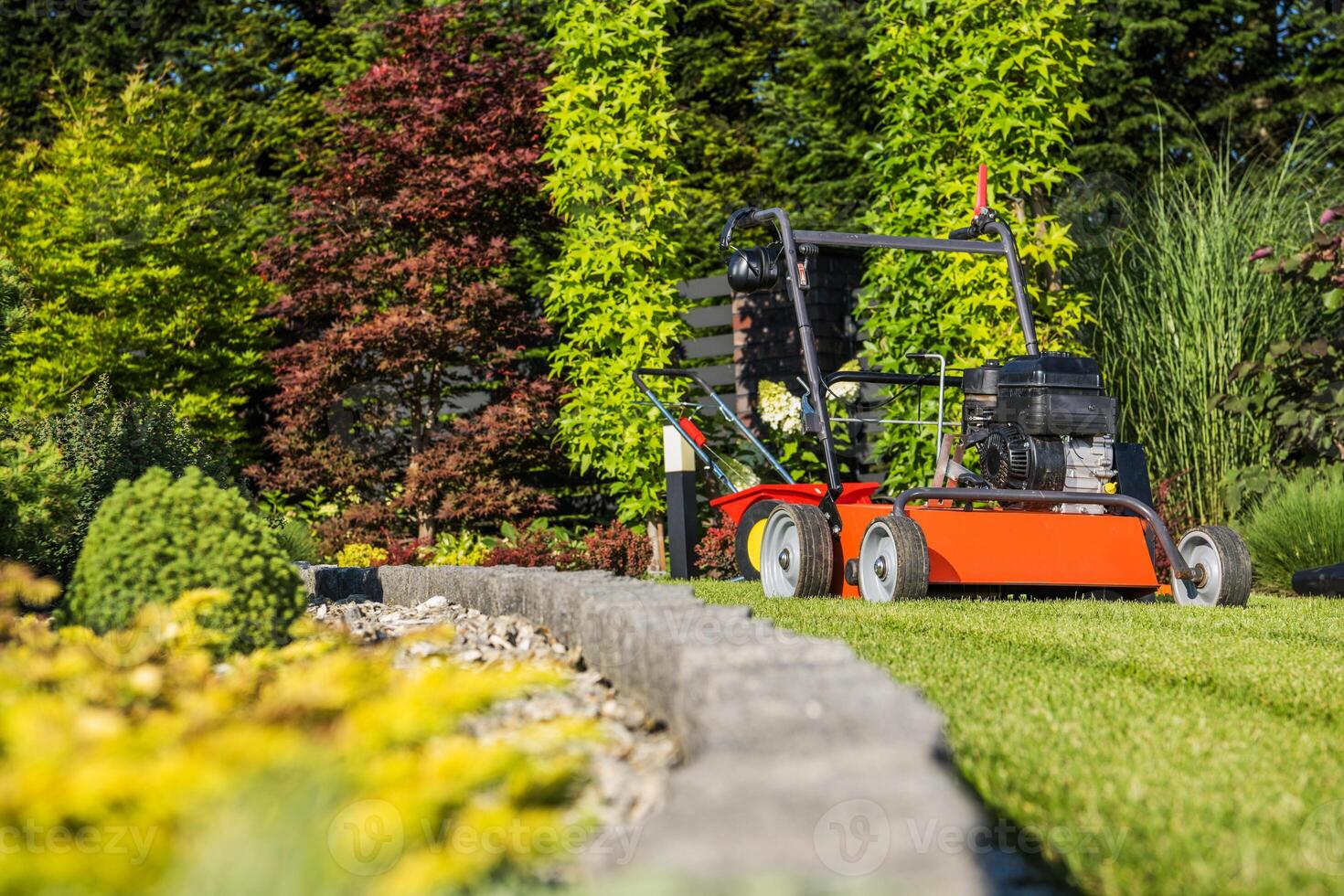 Lawn Aerating Using Gasoline Powered Aerator Machine photo