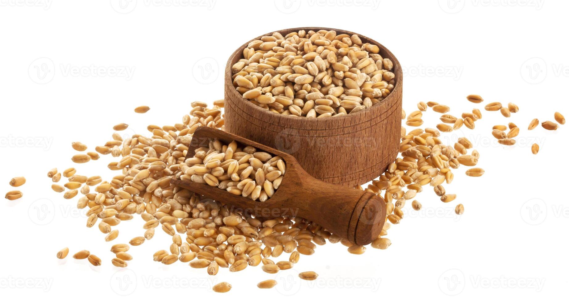 Wheat grains in wooden bowl with scoop isolated on white background photo