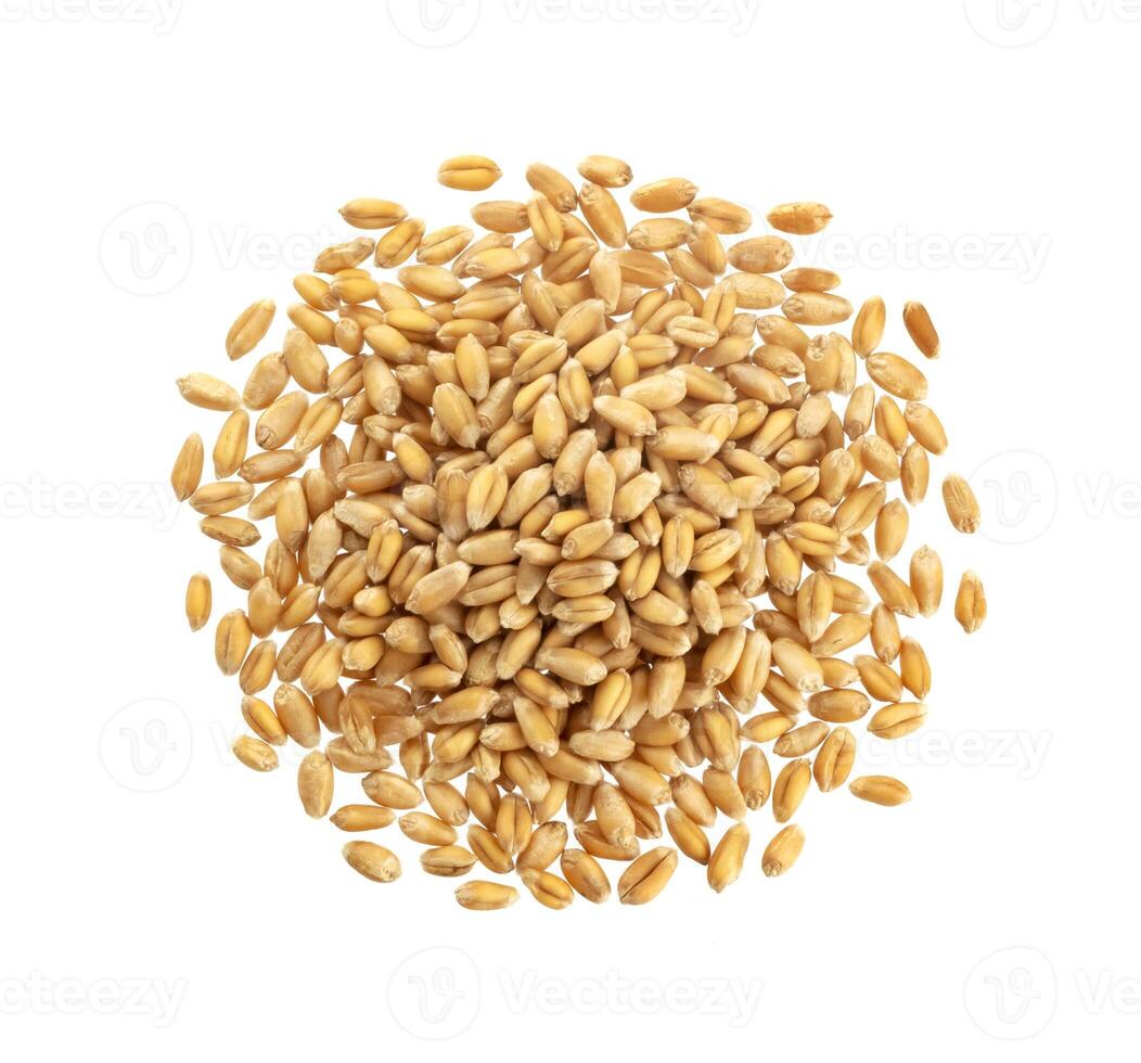 Wheat grains isolated on white background, top view photo