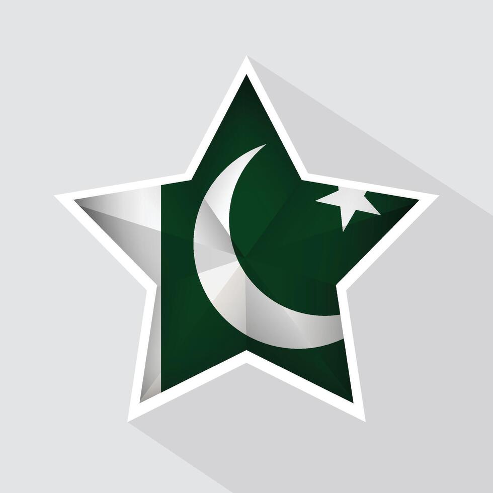Pakistan Flag Star Shape Icon vector