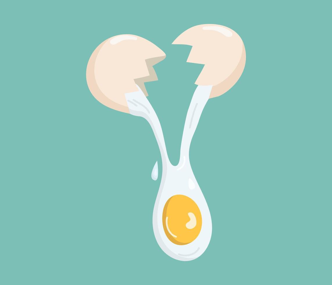 Food, cooking. Broken chicken egg, fried eggs, omelet. World Egg Day. Eggshell. Natural nutrition, isolated background. vector